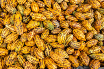 Cocoa beans and cocoa pod on a wooden surface.