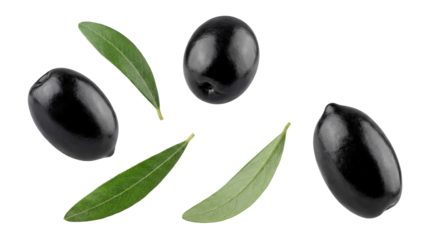 four ripe black olives with fresh green leaves scattered on a transparent background, realistic photography for culinary use and gourmet advertising.