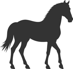 Obraz premium 말 실루엣 그림자