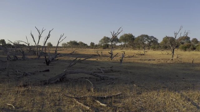 Aerial Above The Boteti River In Botswana