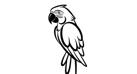 Black and white parrot illustration on white background vector art © Ardilla