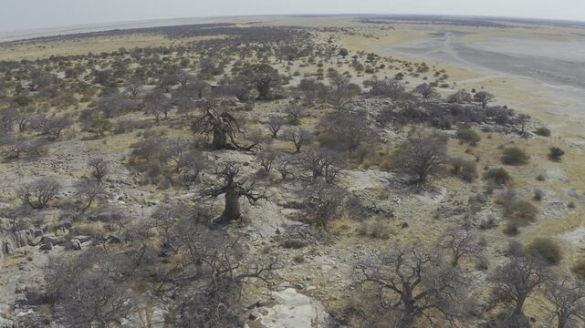 Aerial Above Kubu Island, Botswana