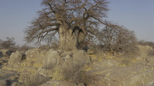 Aerial Above Kubu Island, Botswana