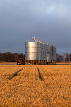 Row of silver grain silos in golden wheat field