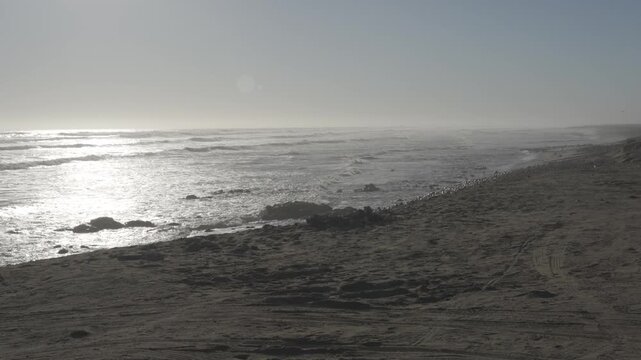 Coastline, Skeleton Coast, Namibia