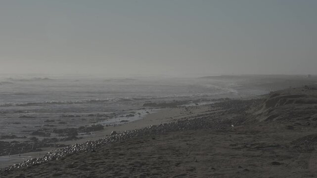 Coastline, Skeleton Coast, Namibia