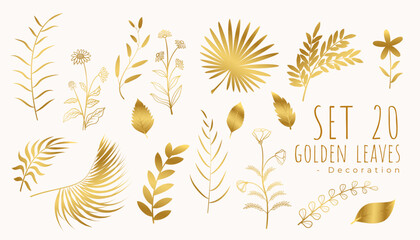 abstract set of isolated golden tropical leaves background