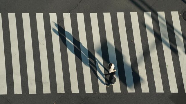 Top down shot of two people crossing zebra stripes with long afternoon shadows
