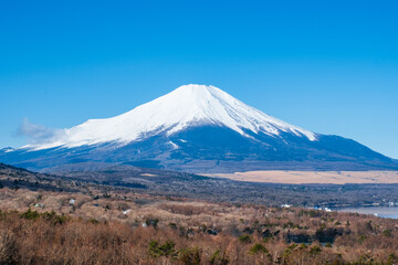 Fototapeta premium 富士山 冬