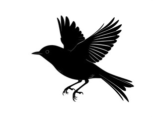 Obraz premium A black silhouette of a bird in mid-flight
