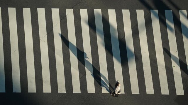Top down aerial of woman with shopping bag walking on Tokyo zebra crossing