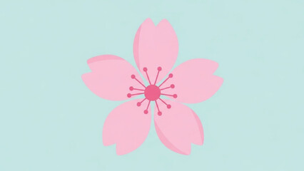 Pink Cherry Blossom Flower Isolated on Light Blue Background