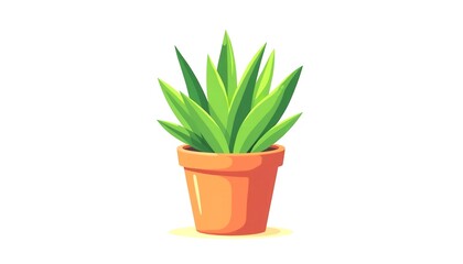 A vibrant green succulent plant in a small orange pot on a white background