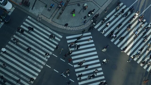 Wide aerial top down view of busy Tokyo scramble crossing intersection