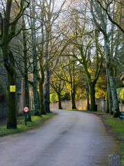Fototapeta premium Road in the Stroud Cotswolds uk