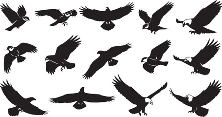 Obraz premium Majestic Eagle and Predator Bird Silhouette Collection Featuring Powerful Flight Poses and Wide Wing Spans for Wildlife Branding
