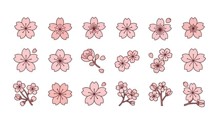 Collection of Pink Cherry Blossom Flowers and Branches, Hand-Drawn Style