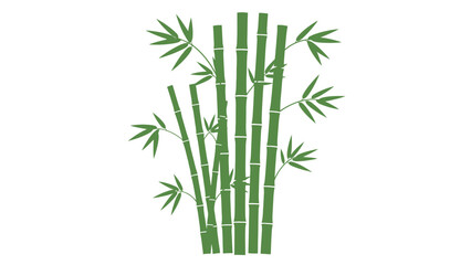 Fototapeta premium Green Bamboo Stems Silhouette Illustration on White Background