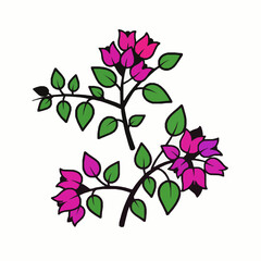 Flat Color Top View Bougainvillea Flower Plants Vector Illustration Isolated