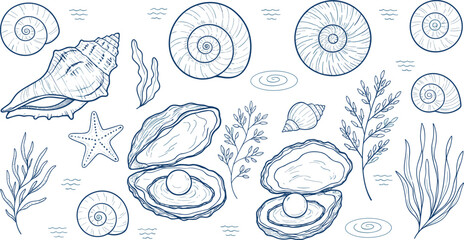 Hand-drawn seashell and oyster illustration set with pearls, starfish, seaweed, spiral shells and ocean elements © Mostafijur