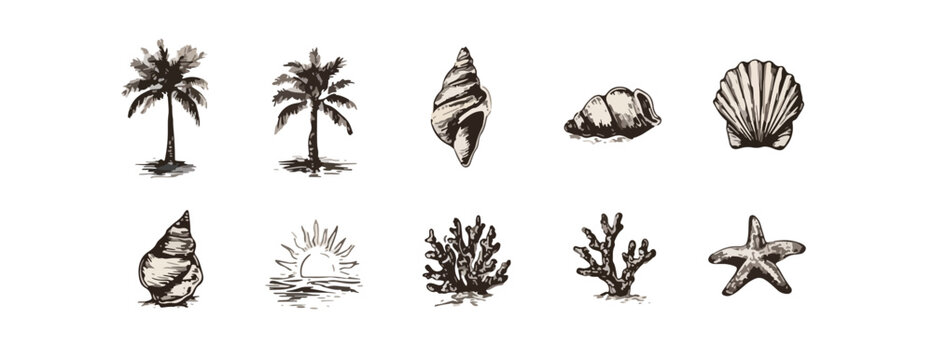 Conjunto de elementos desenhados &agrave; m&atilde;o para tema de praia e ver&atilde;o, incluindo palmeiras, conchas, corais e estrela do mar.