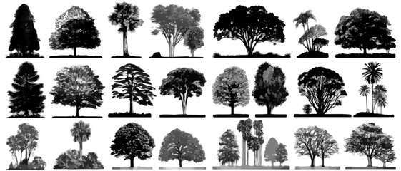 Cole&ccedil;&atilde;o de silhuetas de &aacute;rvores diversas, incluindo palmeiras, em fundo transparente para design gr&aacute;fico.