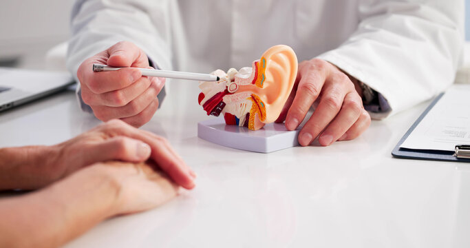 Doctor Demonstrates Vertigo And Hearing Issue On Ear Model To Patient