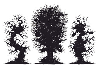 Silhuetas de &aacute;rvores antigas e retorcidas com galhos nus, isoladas em fundo transparente, arte gr&aacute;fica.