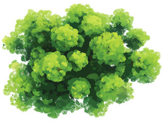 Vista a&eacute;rea de uma &aacute;rvore verde exuberante com folhas detalhadas, isolada em fundo transparente