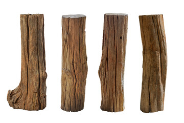 Rustic wood branch. Weathered driftwood or willow log isolate. Broken tree branches with detached bark. 