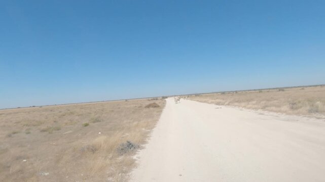 Driving On Namibian Gravelroads
