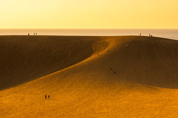 鳥取砂丘　夕暮れ