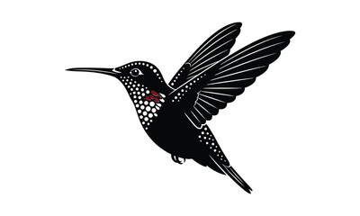 Obraz premium Hummingbird vector illustration with tribal dots and elegant wing detail