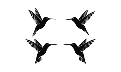 Obraz premium Set of four black silhouette hummingbird icons in flight facing each other vector