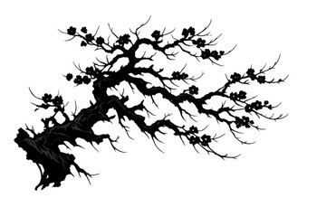 Naklejka premium Japanese plum blossom tree silhouette with winding branches and dark flowers on transparent background for spring design