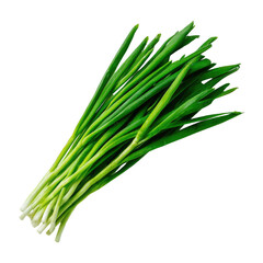 Fresh Green Chives Bunch with Water Droplets, Studio Lighting, Isolated on Transparent Background