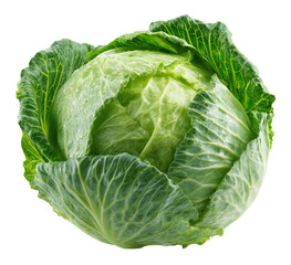 Fototapeta premium Fresh Green Cabbage with Water Droplets, Studio Lighting, Isolated on Transparent Background