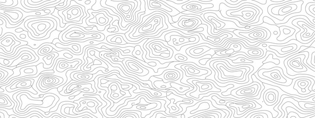 Obraz premium Abstract Topographic Map Contour Lines Seamless Pattern 7.