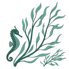 Seahorse and seaweed illustration ©  MST RABEYA  BEGUM