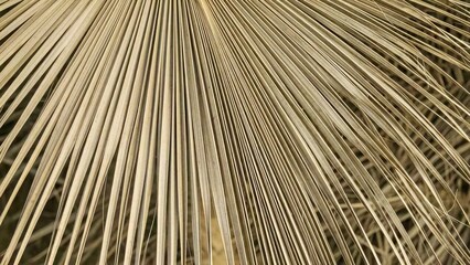 Obraz premium Dry Palm Leaf: A close-up view of a dried palm leaf showcases intricate textures and patterns. Revealing nature's abstract artwork.