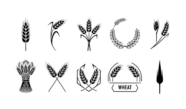Stylized wheat vector icon set for logos, branding, and minimalist agricultural designs
