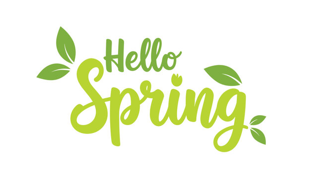 Decorative hello spring typography in bright green color with small leaves and flowers for seasonal greeting cards.