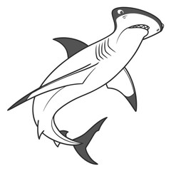 Fototapeta premium Hammerhead shark illustration