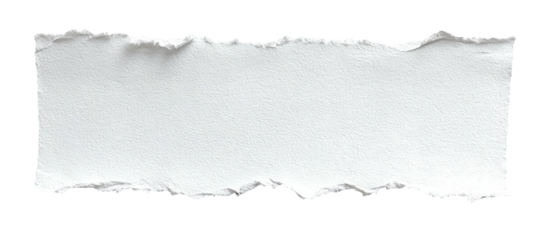 Torn rectangular paper fragment, rough edges on black