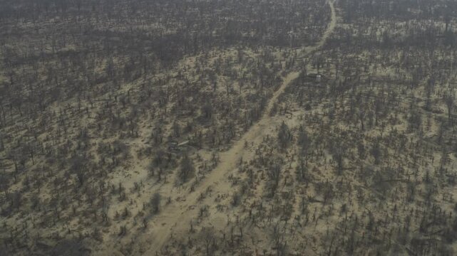 Aerial, Hwange National Park, Zimbabwe