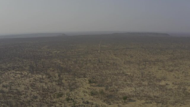 Aerial, Hwange National Park, Zimbabwe