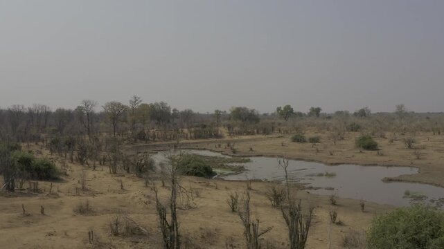 Aerial, Waterhole In Hwange National Park, Zimbabwe