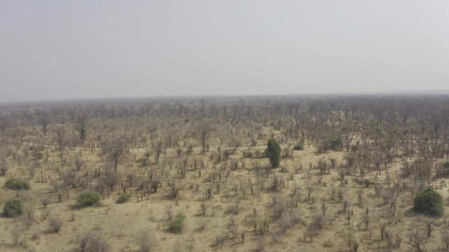 Aerial, Hwange National Park, Zimbabwe