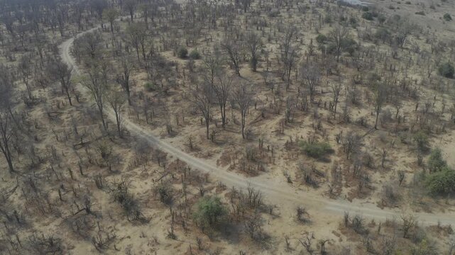 Aerial, Hwange National Park, Zimbabwe