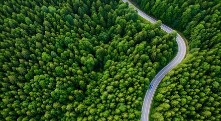 Aerial drone view of a winding asphalt road through a dense green forest